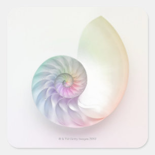 Kunstmatige gekleurde nautilus afbeelding vierkante sticker