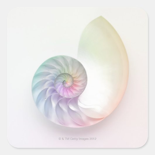 Kunstmatige gekleurde nautilus afbeelding vierkante sticker (Voorkant)