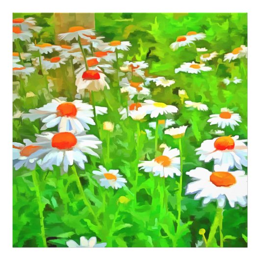 Kunstmatige heldere en kleurrijke Pop Art Daisies Foto Afdruk (Voorkant)