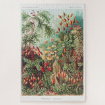 Kunstmatige  illustratie Natuur Ernst Haeckel Legpuzzel<br><div class="desc">Kunstmatige  illustratie Natuur Ernst Haeckel Puzzle</div>