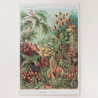 Kunstmatige illustratie Natuur Ernst Haeckel Legpuzzel