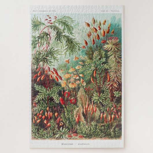 Kunstmatige  illustratie Natuur Ernst Haeckel Legpuzzel (Verticaal)