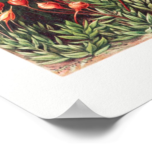 Kunstmatige  illustratie Natuur Ernst Haeckel Poster (Hoek)