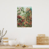 Kunstmatige  illustratie Natuur Ernst Haeckel Poster (Keuken)