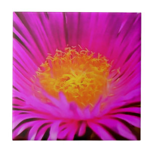 Kunstmatige magenta roze rooster bloemenkunst tegeltje