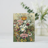 Kunstorchideeën - Kunstvormen van Natuur Briefkaart (Staand voorkant)