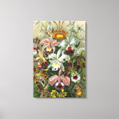 Kunstorchideeën - Kunstvormen van Natuur Canvas Afdruk (Voorkant)