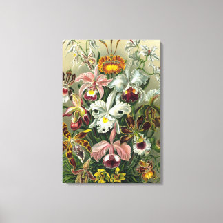 Kunstorchideeën - Kunstvormen van Natuur Canvas Afdruk