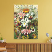 Kunstorchideeën - Kunstvormen van Natuur Canvas Afdruk (Insitu (Woonkamer))