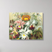 Kunstorchideeën - Kunstvormen van Natuur Canvas Afdruk (Voorkant)