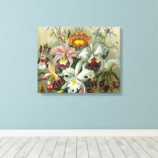 Kunstorchideeën - Kunstvormen van Natuur Canvas Afdruk (Insitu (Houten vloer))