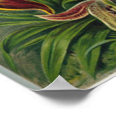 Kunstorchideeën - Kunstvormen van Natuur Poster (Hoek)