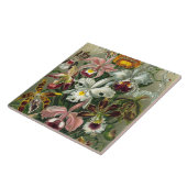 Kunstorchideeën - Kunstvormen van Natuur Tegeltje (Zijkant)