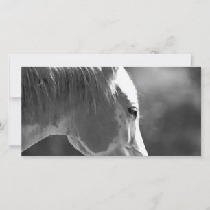 Kunstpaarden met zwarte en witte Pop