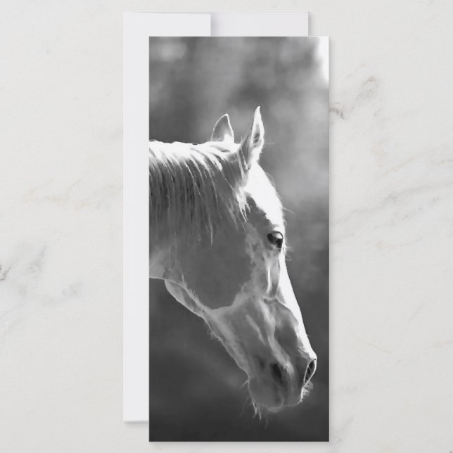 Kunstpaarden met zwarte en witte Pop (Voorkant)