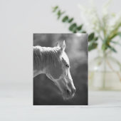 Kunstpaarden met zwarte en witte Pop Briefkaart (Staand voorkant)