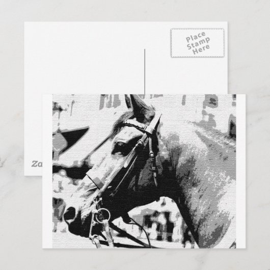 Kunstpaarden met zwarte en witte Pop Briefkaart (Voorkant / Achterkant)