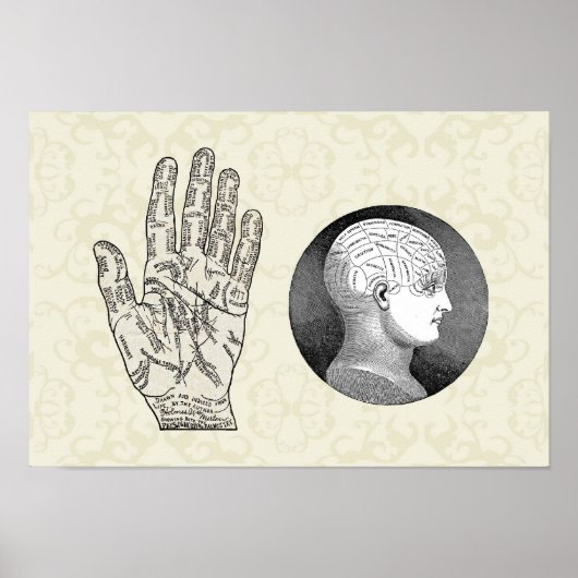  kunstpalmie- en terminologische diagrammen poster (Voorkant)
