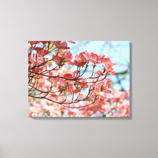Kunstpanelen Roze Dogwood Bomen natuur Canvas Afdruk (Voorkant)