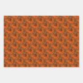 Kunstpatroon Oranje Daisy Flower Natuur Inpakpapier Vel (Voorkant)