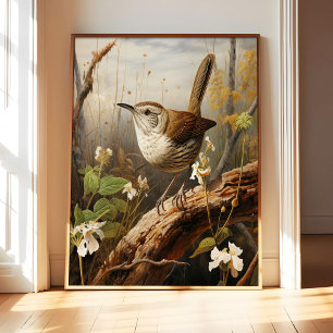 Kunstposter met Bewicks Winterkoning, Vogel Muurde Poster