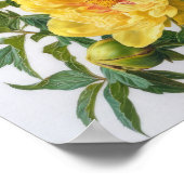 Kunstposter met gele pioen Print Poster (Hoek)