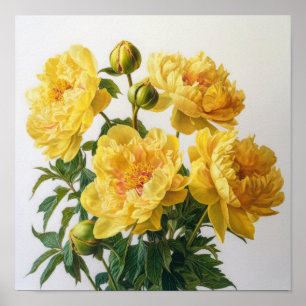 Kunstposter met gele pioen Print Poster