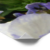 KunstPoster "Pansy Blues Fence" Poster (Hoek)