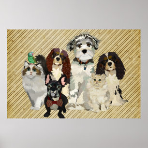 KunstPoster pokken, wetten en veren Poster