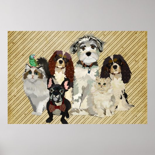 KunstPoster pokken, wetten en veren Poster (Voorkant)