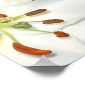 KunstPoster "White Lilies Red Roses" Poster (Hoek)