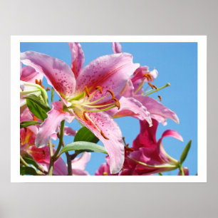 Kunstprenten lelie bloemen blauwe lucht bloemstukk poster