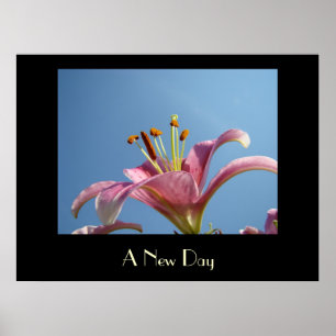 Kunstprenten van een NIEUWE DAG Roze Calla Lily Bl Poster
