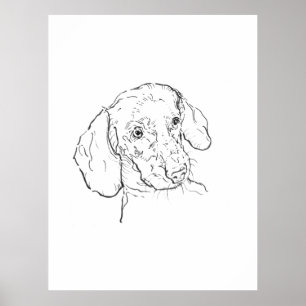 Kunstprint, Dachshund, Worsthond, Wiener hond Poster