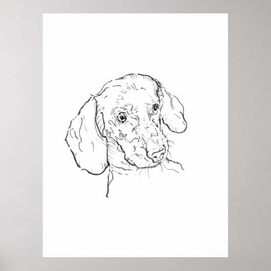 Kunstprint, Dachshund, Worsthond, Wiener hond Poster (Voorkant)