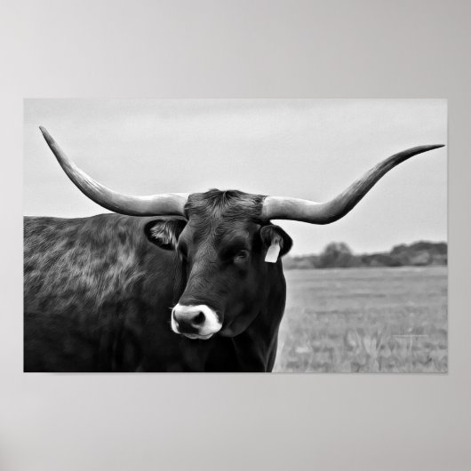 Kunstprint Longhorn Koe Foto Poster (Voorkant)