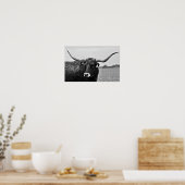 Kunstprint Longhorn Koe Foto Poster (Keuken)
