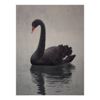 Kunstprint met antieke zwarte zwaan perfect poster