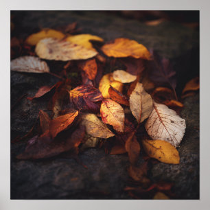 Kunstprint met herfstbladeren poster