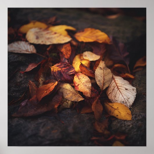 Kunstprint met herfstbladeren poster (Voorkant)