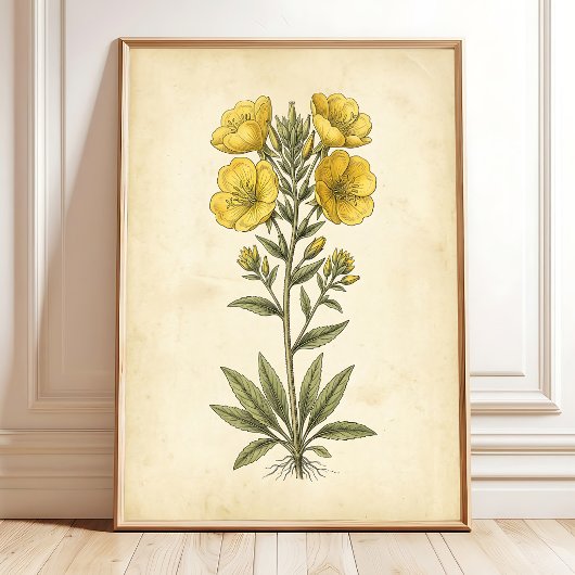 Kunstprint met vintage botanische afbeeldingen voo poster