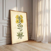 Kunstprint met vintage botanische afbeeldingen voo poster