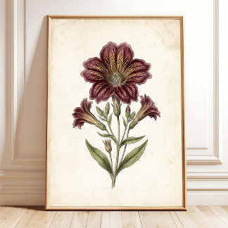 Kunstprint met vintage cottage botanische afbeeldi poster