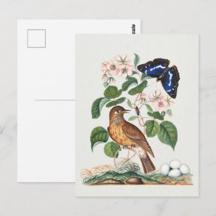 Kunstprint met vintage vogel- en botanische bloeme briefkaart