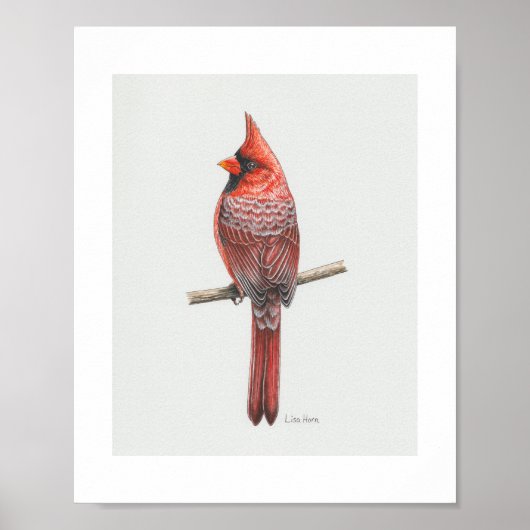 Kunstprint Noordelijke Kardinaal Poster (Voorkant)