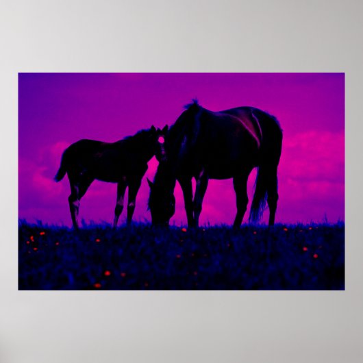 Kunstprint Paard & Merrie Poster (Voorkant)