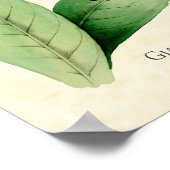 Kunstprint Reuzenkolibrie Poster (Hoek)