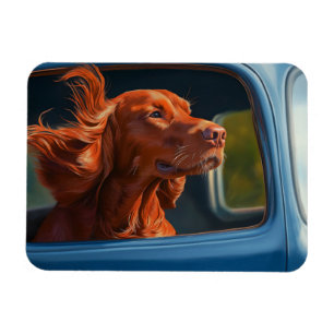 Kunstprint Rode Hond Geniet Van Schilderachtige Au Magneet