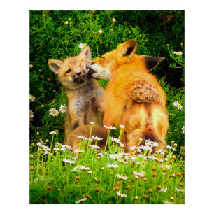 Kunstprint van een moeders kus voor natuur en dier perfect poster