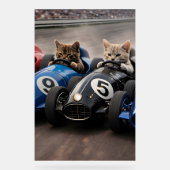 Kunstprint van furry brengt een acryl bord (Voorkant)